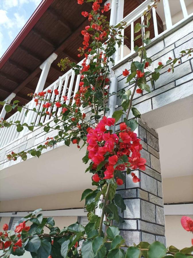 Bella Terra Nature Living Asprovalta Zewnętrze zdjęcie